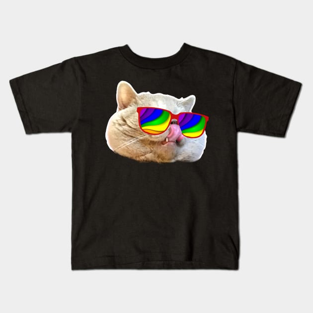 Crazy Sunglasses Cat Kids T-Shirt by SolarFlare